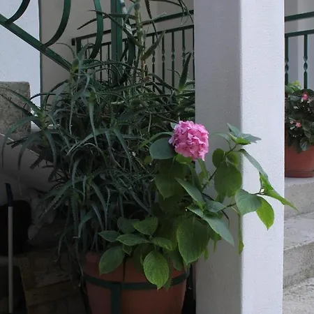 Apartament By The Sea Podgora, Makarska - 6672 *